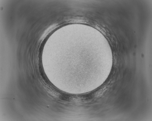 X0000062870199200602031725