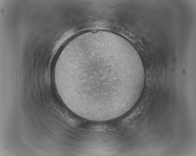 X0000062870200200602031725