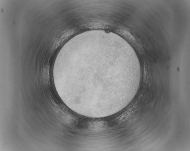 X0000062870202200602031725