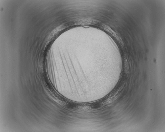 X0000062870203200602031725