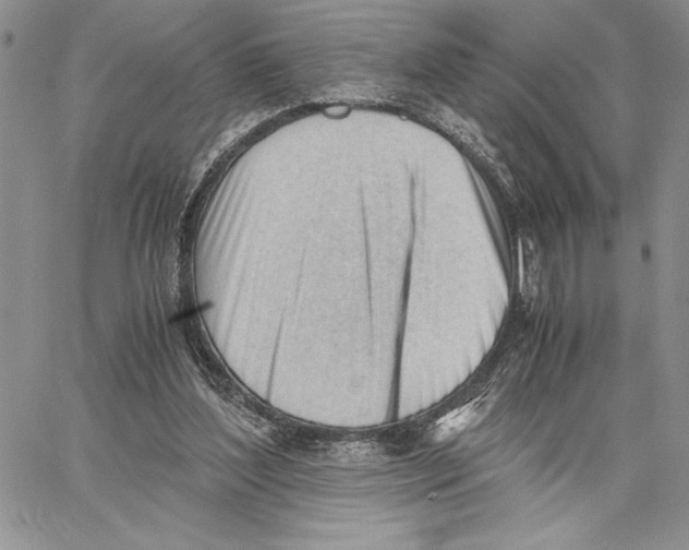 X0000062870204200602031725