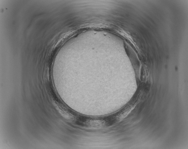 X0000062870205200602031725