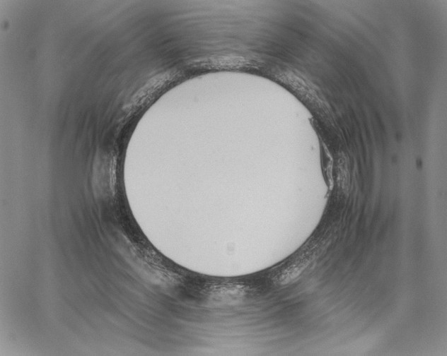 X0000062870206200602031725