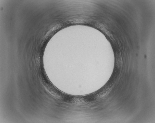 X0000062870207200602031725