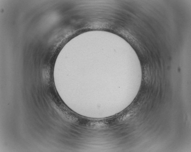 X0000062870208200602031725