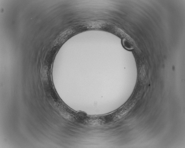 X0000062870209200602031725