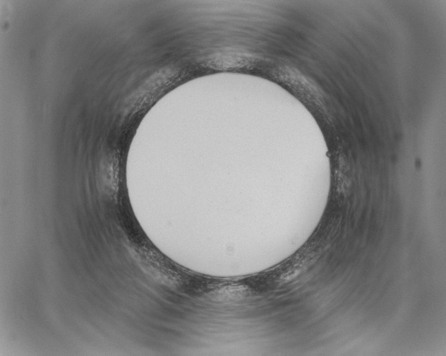 X0000062870210200602031725