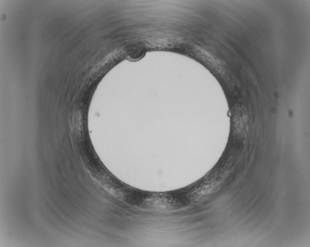 X0000062870211200602031725