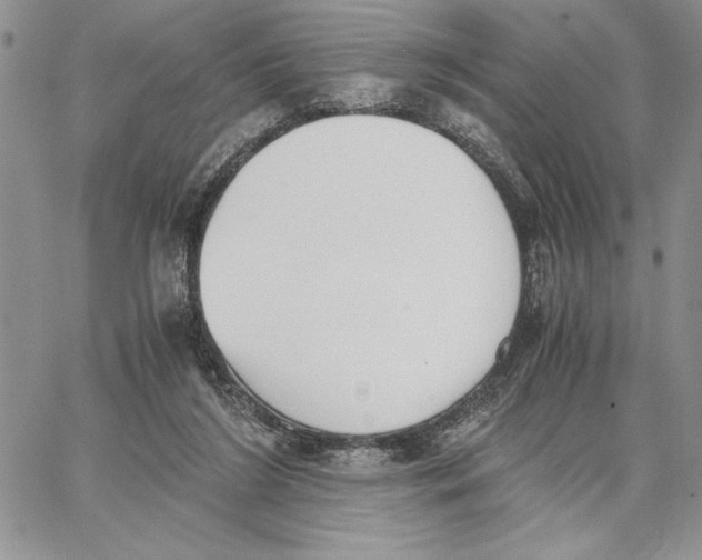 X0000062870212200602031725