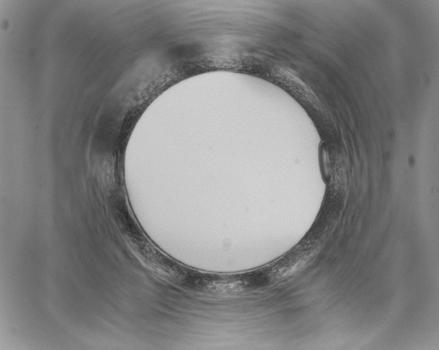 X0000062870213200602031725