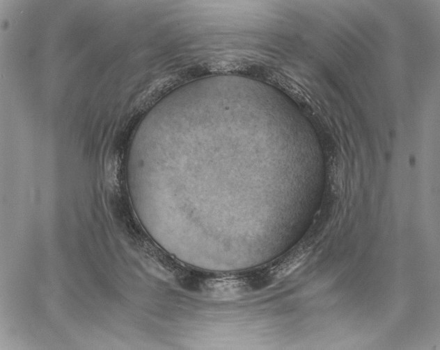 X0000062870219200602031725