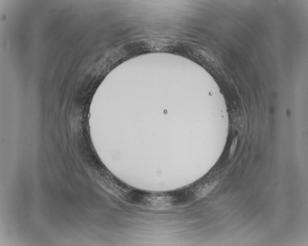 X0000062870221200602031725