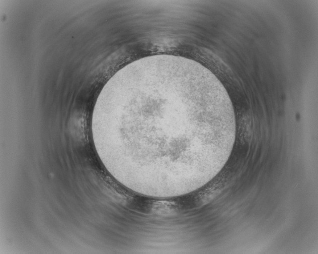 X0000062870222200602031725