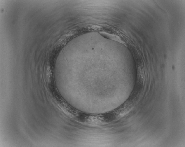 X0000062870223200602031725