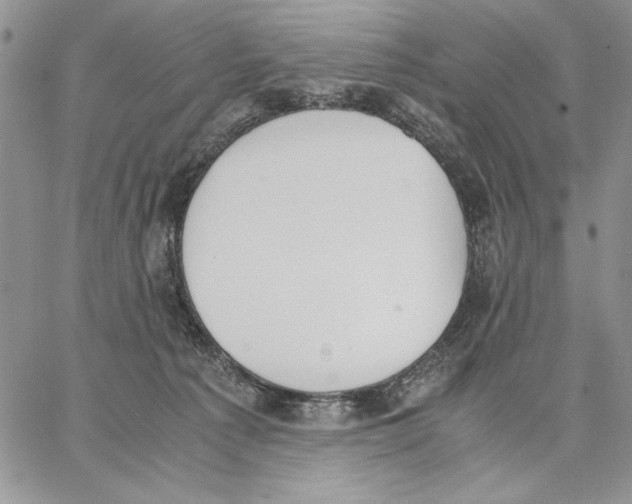 X0000062870225200602031725