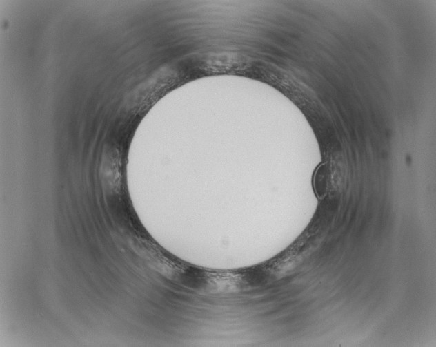 X0000062870226200602031725