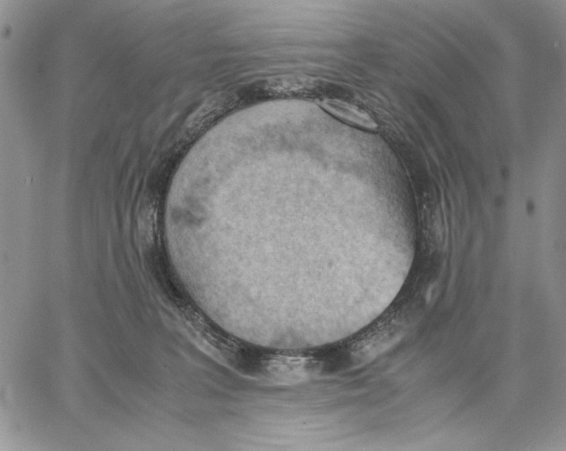 X0000062870227200602031725