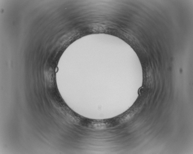 X0000062870228200602031725