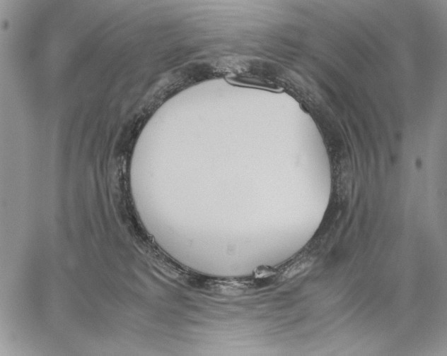 X0000062870229200602031724