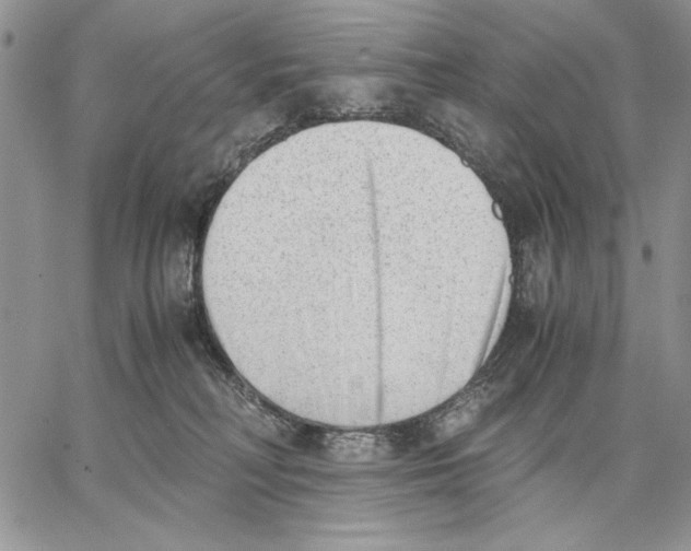 X0000062870230200602031724