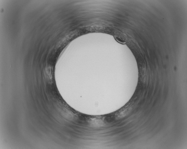 X0000062870232200602031724