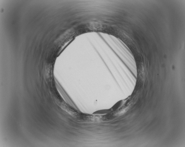 X0000062870233200602031724