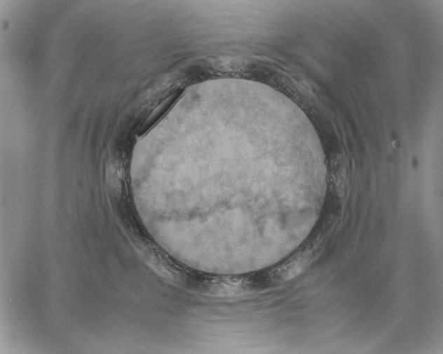 X0000062870235200602031724