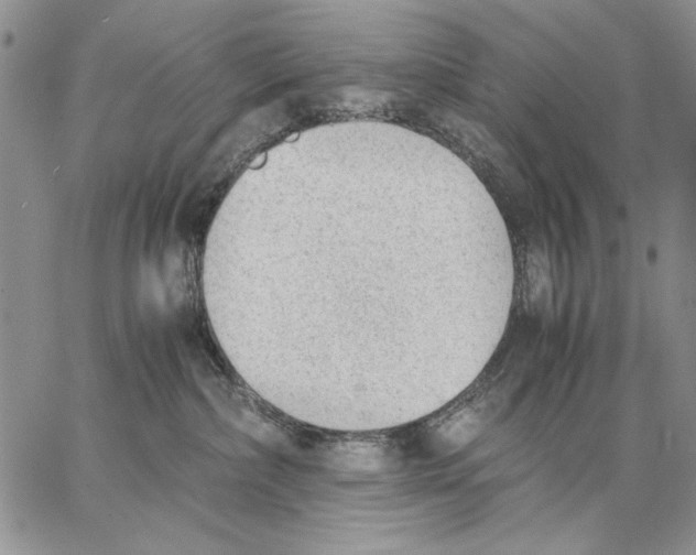 X0000062870236200602031724