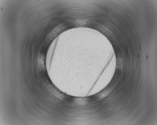 X0000062870238200602031724