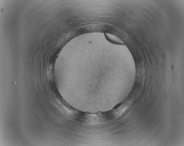 X0000062870239200602031724