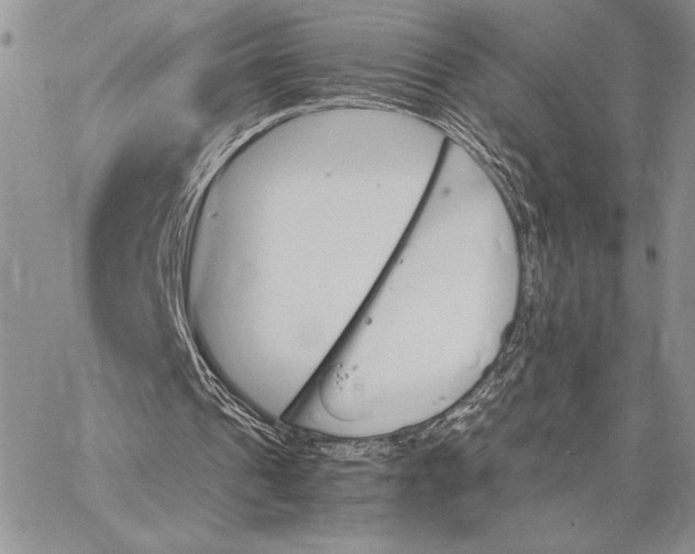 X0000062870241200602031724