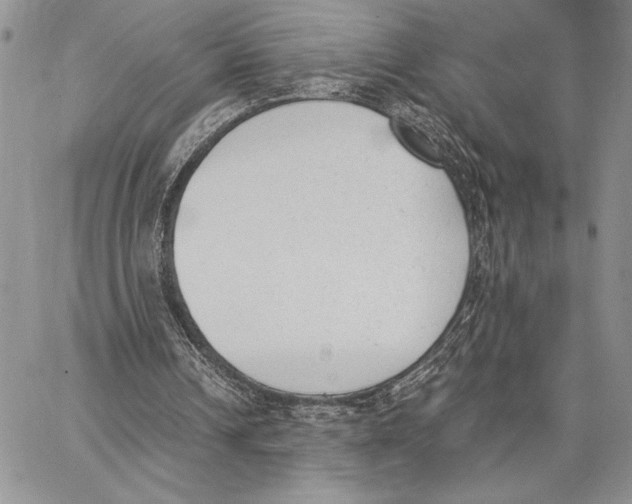 X0000062870242200602031724