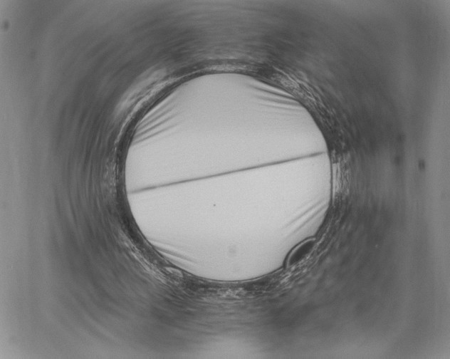 X0000062870243200602031724