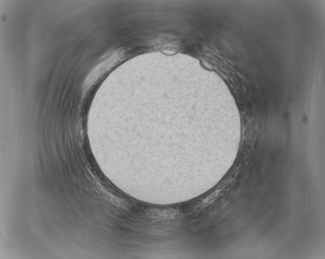 X0000062870245200602031724