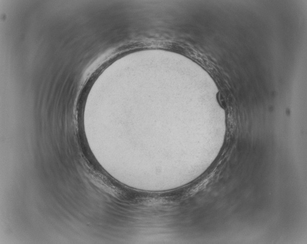 X0000062870246200602031724