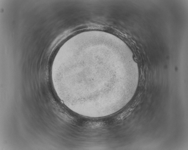 X0000062870247200602031724