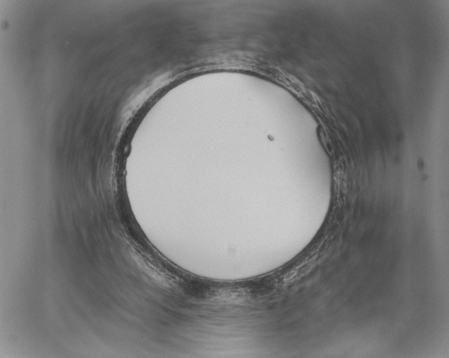 X0000062870248200602031724