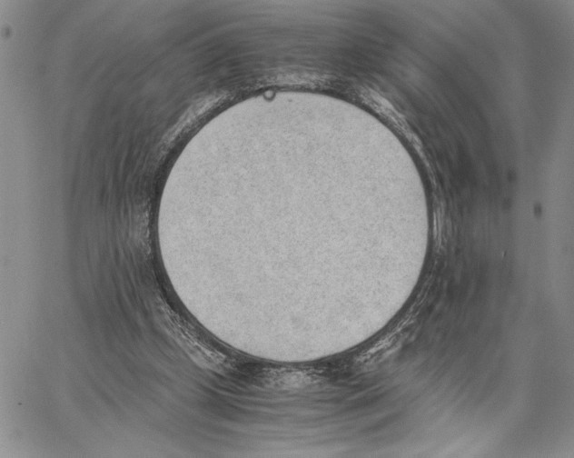 X0000062870249200602031724