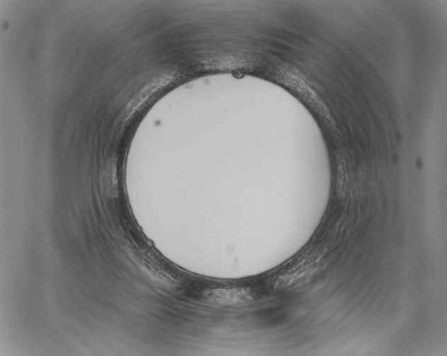 X0000062870251200602031724