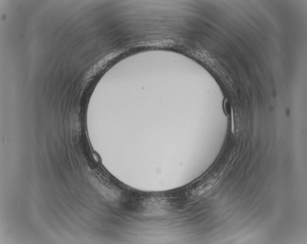 X0000062870252200602031724