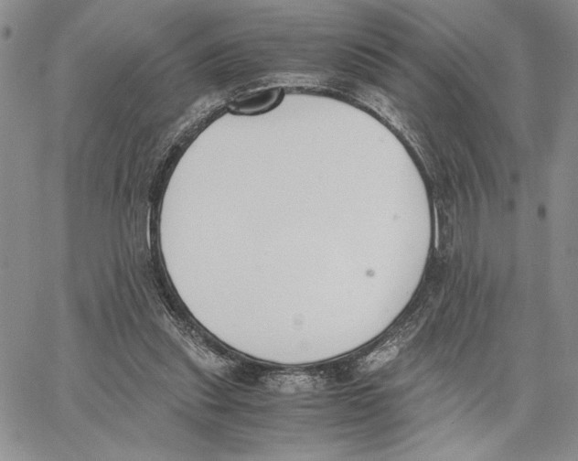 X0000062870253200602031724