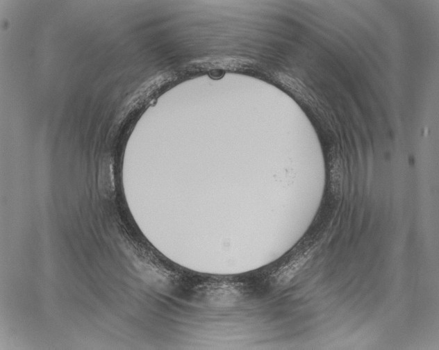 X0000062870254200602031724