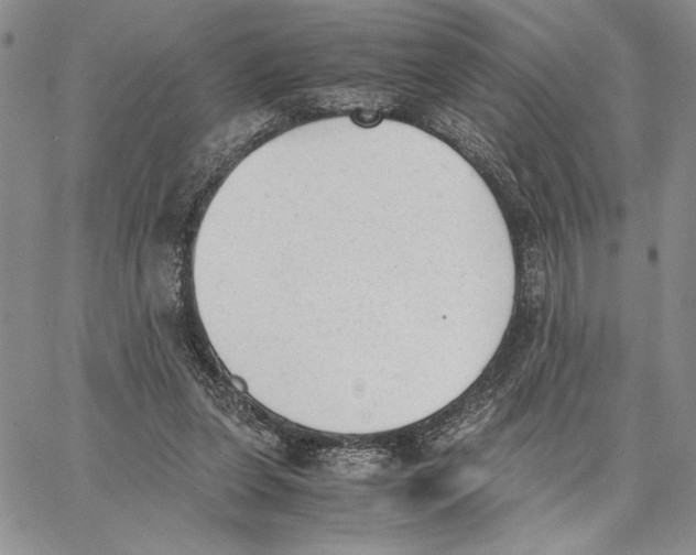 X0000062870255200602031724