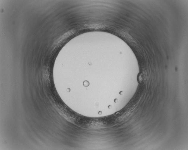 X0000062870256200602031724