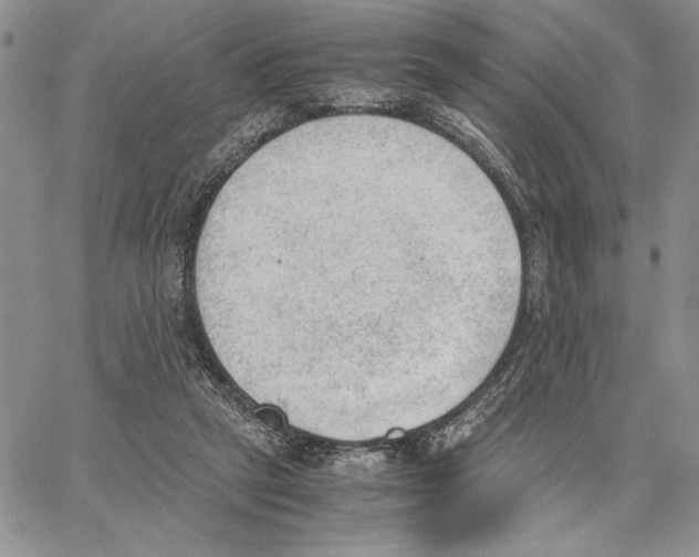 X0000062870257200602031724