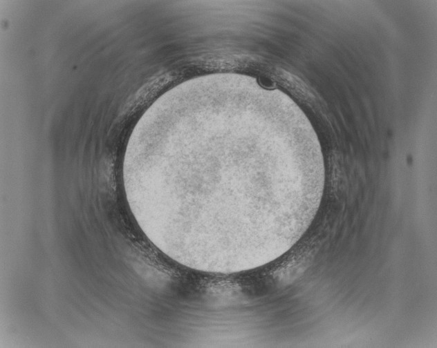 X0000062870258200602031724