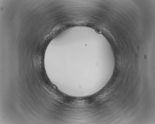 X0000062870260200602031724