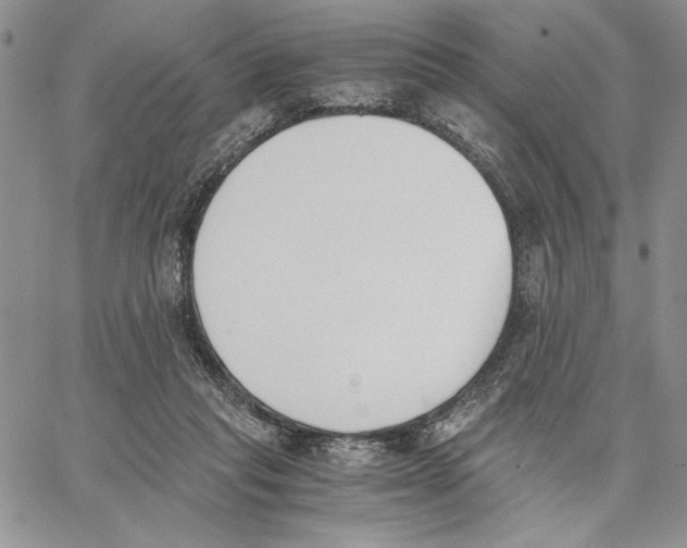 X0000062870261200602031724