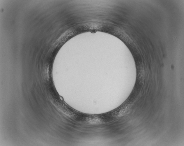 X0000062870262200602031724