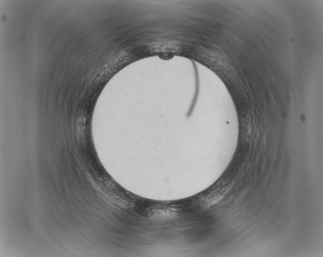 X0000062870263200602031724